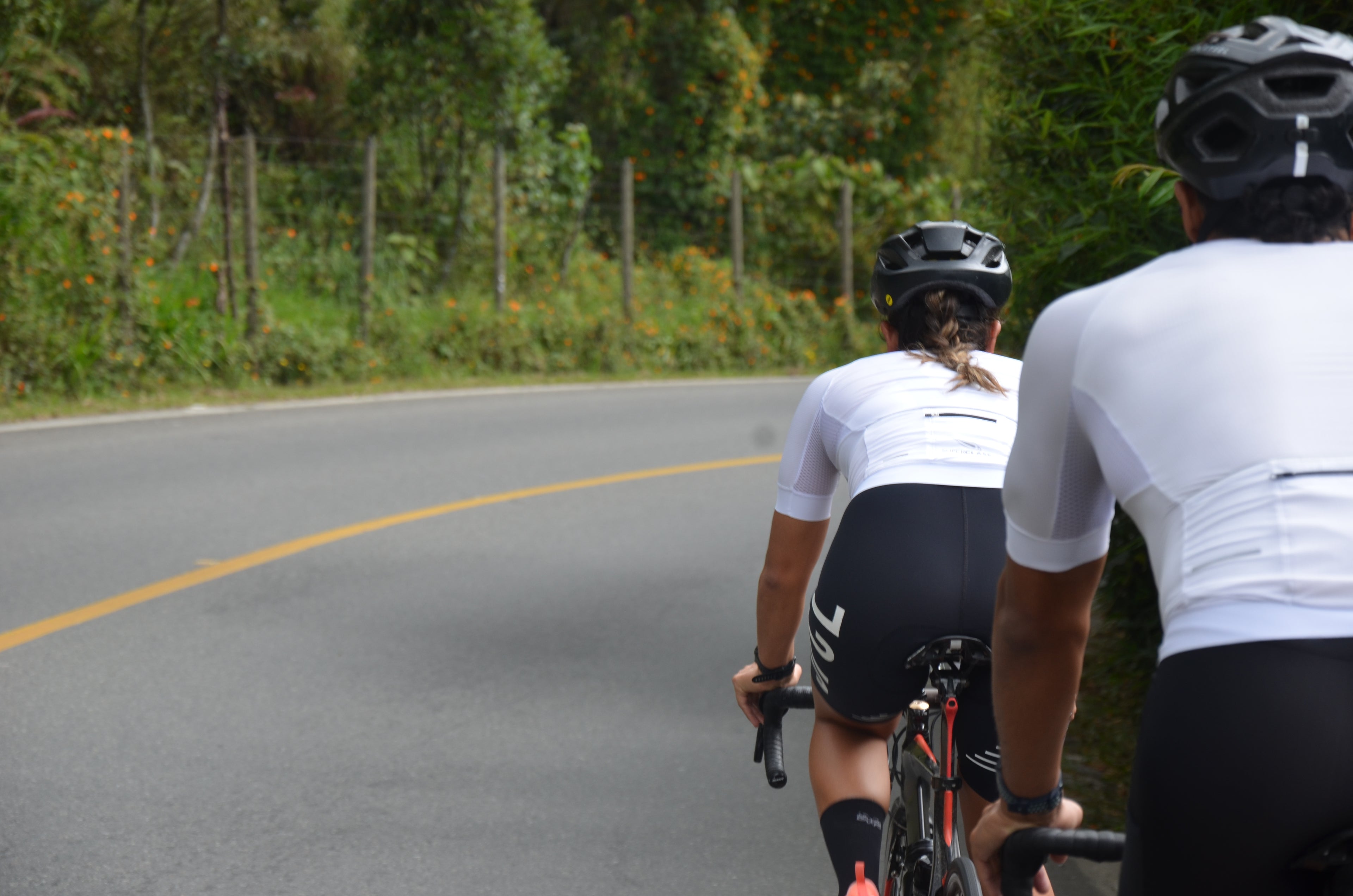 JERSEY CRITERIUM W